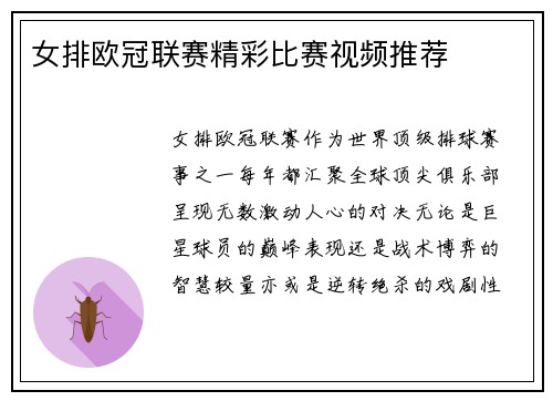 女排欧冠联赛精彩比赛视频推荐